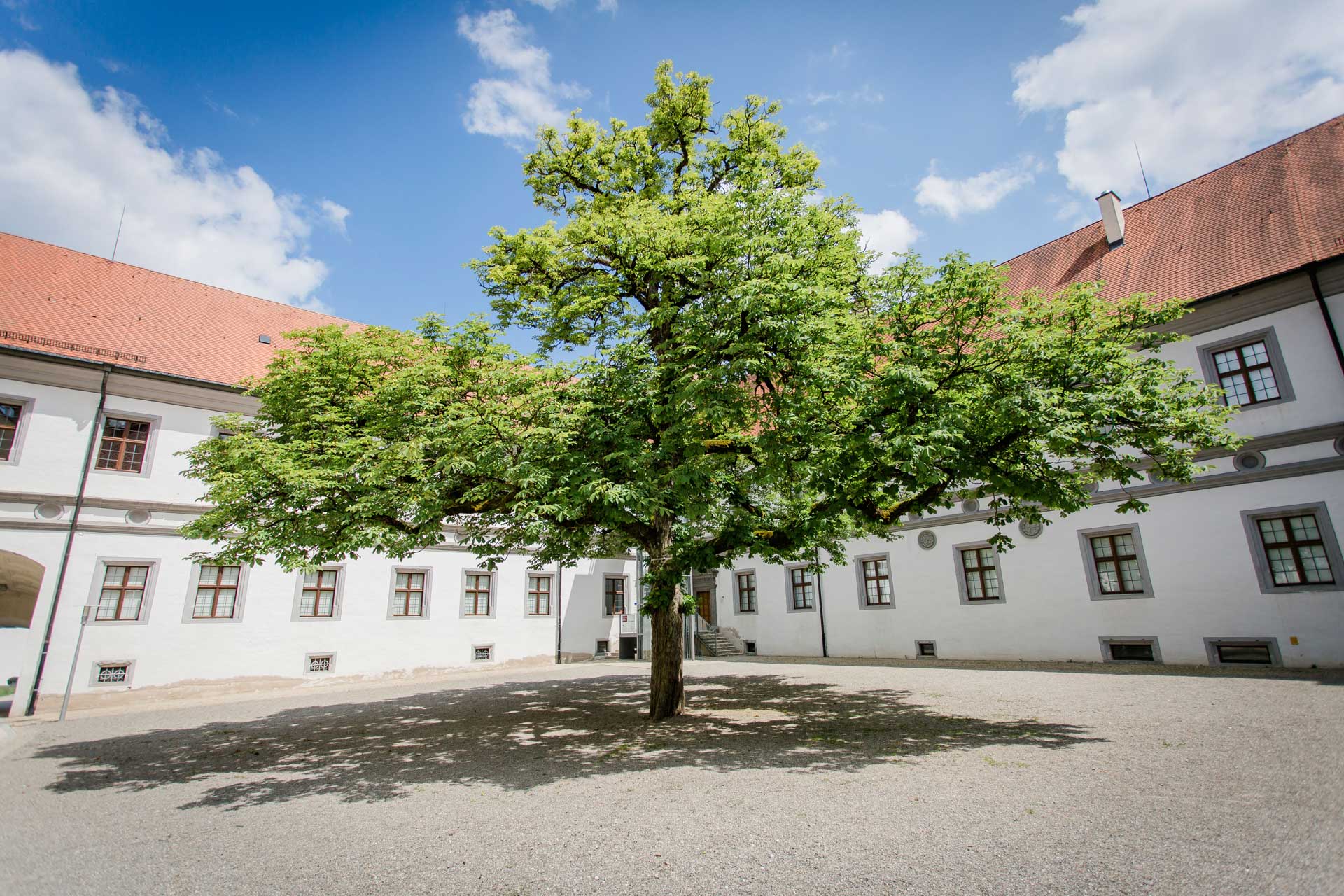 Schloss Messkirch 00018