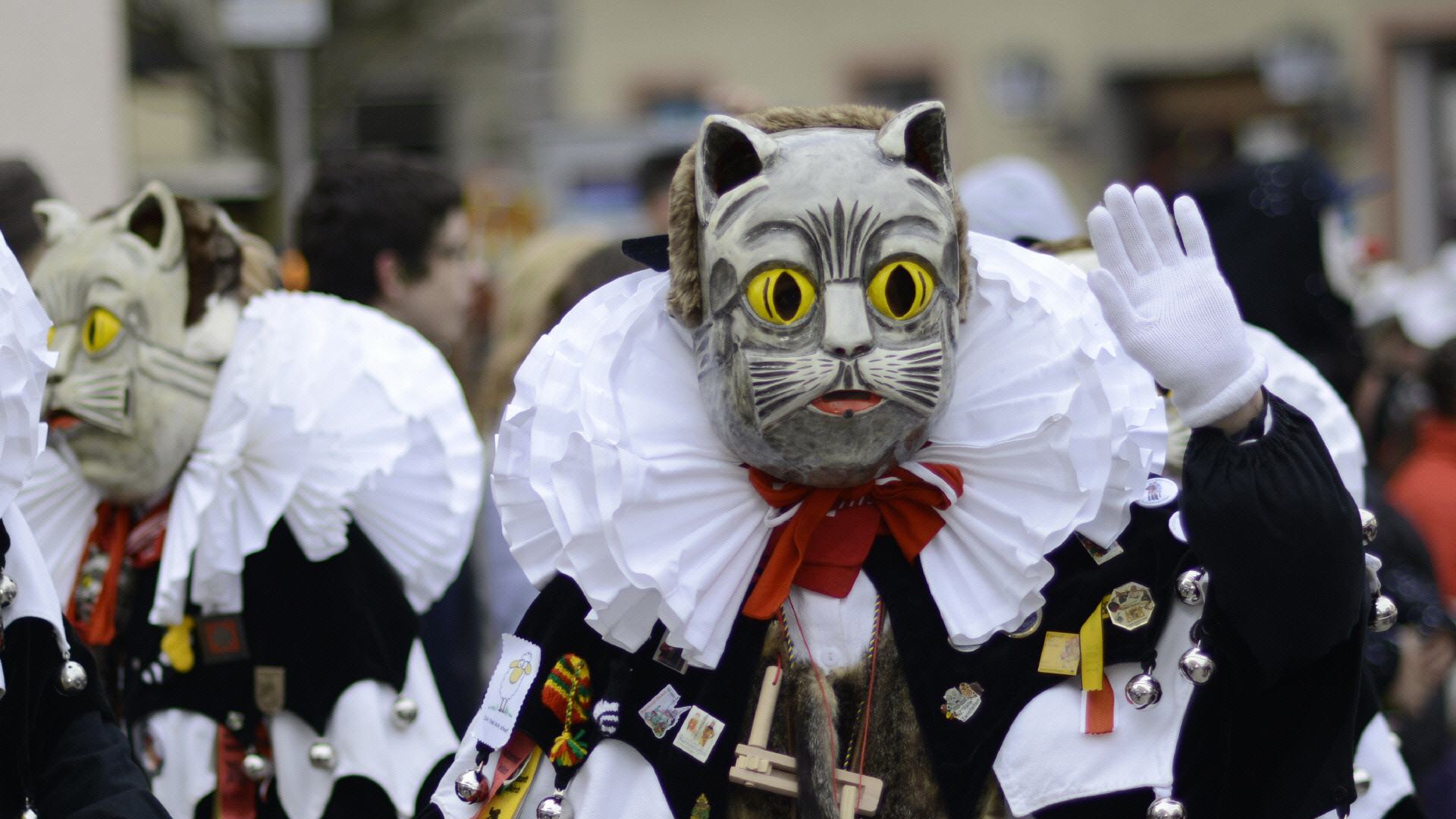 katzenzunft messkirch 1